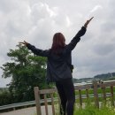 슈율이네