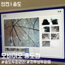 허브건강센타 | 지루성 두피염과 가르마 고민으로 받아본 두피 진단 후기 | 송도 두피관리 모바이오