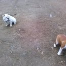 지리산구름정원 이미지