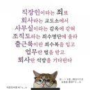 지금은다육시대 | 5월 둘째 주 주말 기록