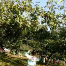 수곡농원 이미지