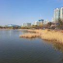 수피아 이미지