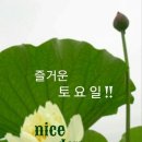 토요일 이미지