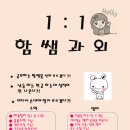 영어과외쌤