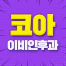 코아이비인후과의원 네이버블로그