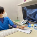 헤이든동물병원 이미지