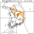 2월 2일(토요일) 08:00 현재 전국 날씨 및 기상 특보 현황(울릉도, 독도 포함) 이미지