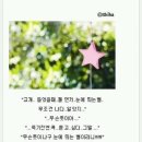 인손 이미지