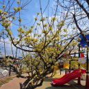 최평락한의원 이미지