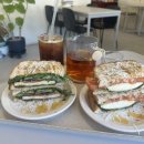 유성가든 | 대전 유성 도룡동 카페 텍스트가든 | 식물 카페 내돈내산 후기