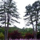 고목목장 이미지