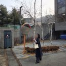 푸르니이매어린이집 네이버블로그