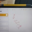 [5일 연속 외출한 일상+ 커비 디스커버리와 젤다 야숨 엔딩]