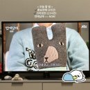해원이네 동물병원 | [2402] 01 ~ 05 - 사랑할만한 사람을 사랑하게되는것도 복이다