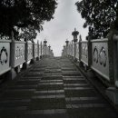 보세로 이미지