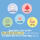 산호약국 네이버블로그