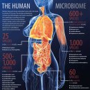 마이크로바이오텍 이미지