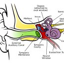 조호군한의원 이미지