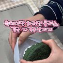녹색주의보 이미지