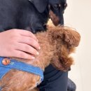 털로덮인친구들 수원시청역점 이미지