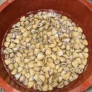 별밤농장 이미지