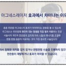 아그네스 이미지