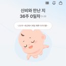 청산-비상1호 | 임신 기록 29주-35주 막달을 향해 달려🏃🏻‍♀️ 출산휴가, 만삭 촬영, 조기진통, 배뭉침