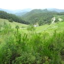 황우목장 이미지