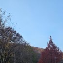 게이트볼장 앞 화장실 이미지