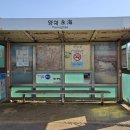 영해버스정류장 이미지