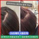 씨유 은계호반써밋점 | 시흥 은계지구미용실 26도헤어 새치염색 컬러 버건디 염색후기