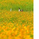 황화농장 이미지