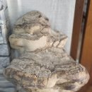 향원구이식당 이미지