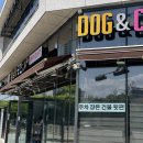 멍냥이 곳간 이미지