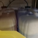 보배식당 이미지