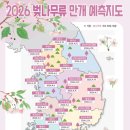 신산공원3(국수거리 게이트볼장 옆) | 제주 벚꽃 명소 제주도 벚꽃 개화시기 4월 제주가볼만한곳