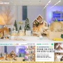 문캐터리 이미지