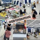 고산 최강 태권도장 네이버블로그