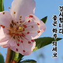 둥우리 이미지