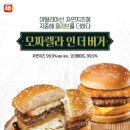 더올리브 이미지