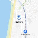 칠곡꿀벌빵