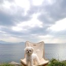 안녕오토캠핑장 이미지