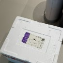 온라인 구매후기] 네이버스토어 채소팜 샐러리, 케일...적양파, 완숙토마토, 파프리카, 레드비트 구매후기