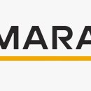 본홀딩스 이미지