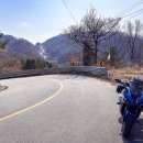 백운면 벚꽃길 이미지