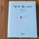 산에는꽃이피네 이미지