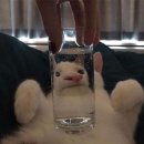 동그마니 이미지