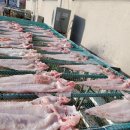 잠뱅이수산 이미지