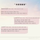 성인취미발레 학원 아르앤발레 가격 후기
