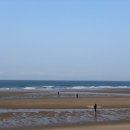 만리포니아 이미지